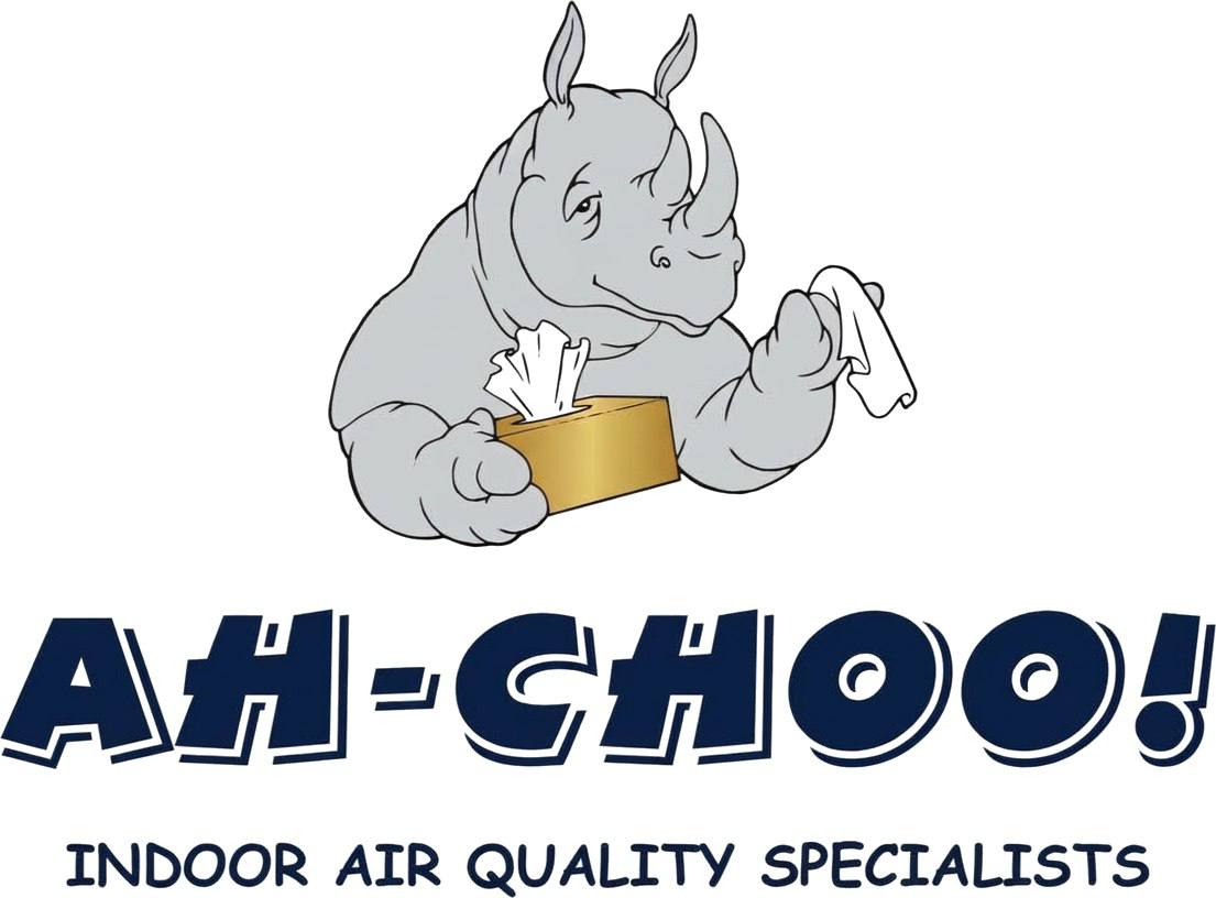 AH-CHOO! Indoor Air Quality