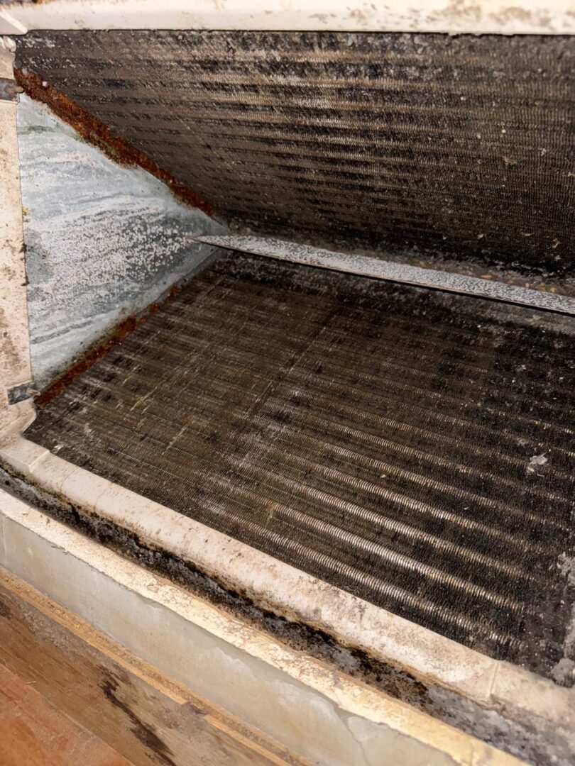 Industrial evap coil contamination detail