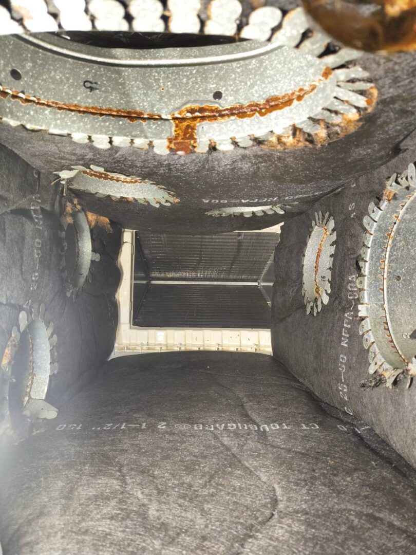 HEPA-Vac source removal in progress