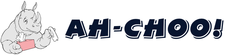 AH-CHOO! Indoor Air Quality Specialists