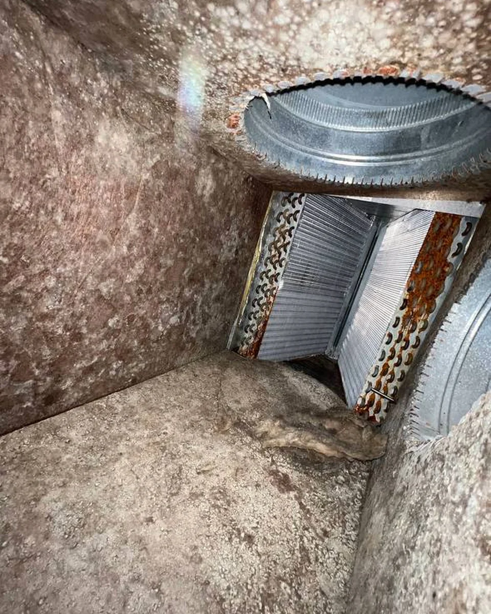 HVAC plenum interior before AH-CHOO service, showing heavy visible buildup and discoloration